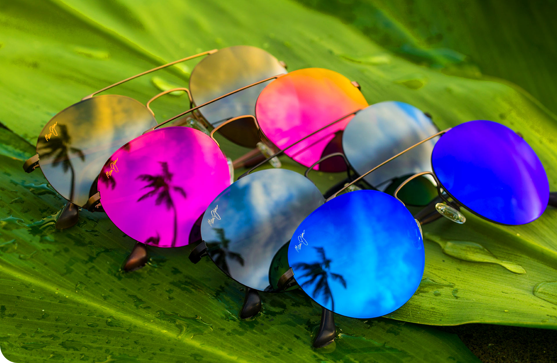 Beautiful Boutique Sunglasses